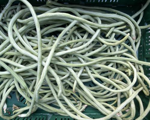 Boontjes spaghetti (kousenband)